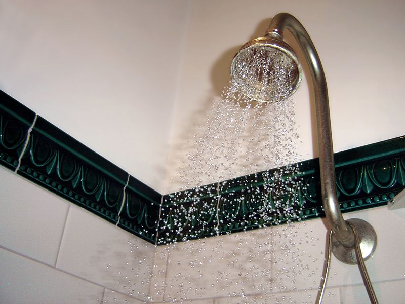 Squealing shower? Eliminate the unnecessary noise.