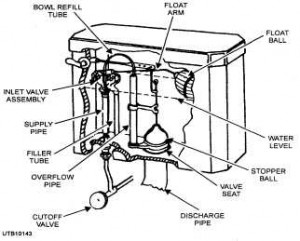 Inside Toilet Tank