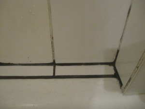grout mildew