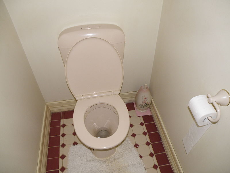 Toilets Around The World Terry