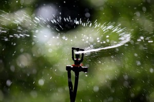 Water Sprinkler