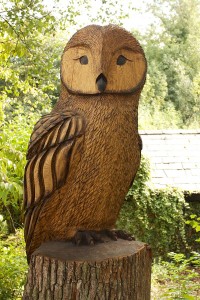 Wooden Owl