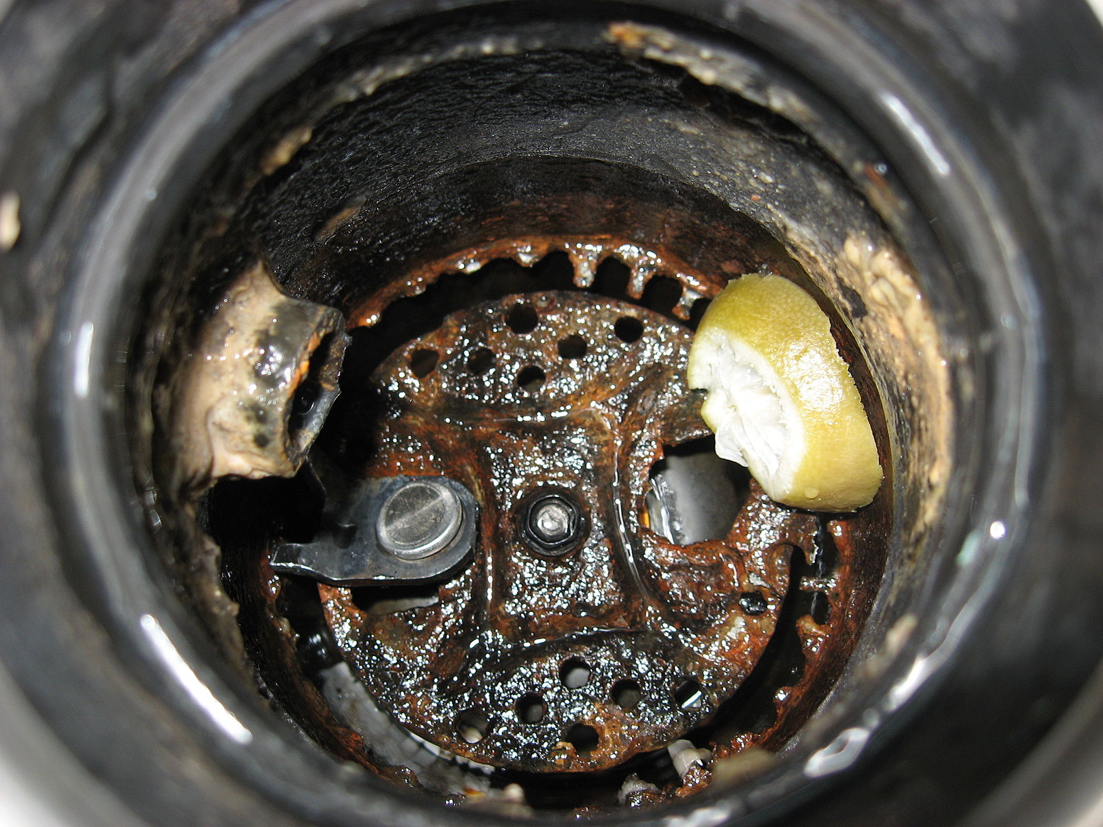 How To Free Up A Clogged Kitchen Sink Disposal Terry S