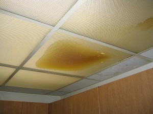 Find The Source Of A Ceiling Leak