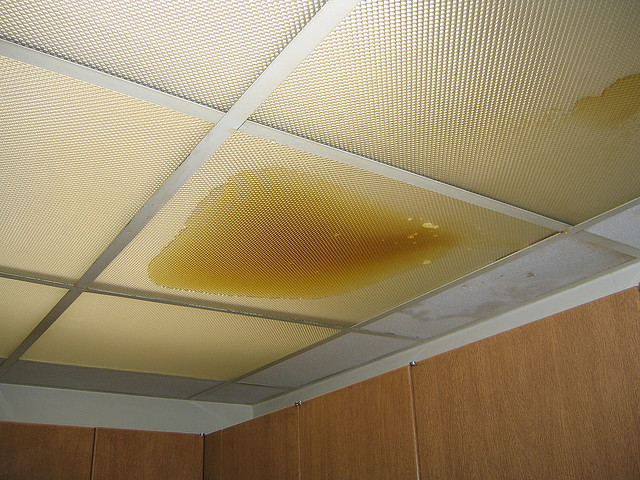 Easily Find The Source Of Any Ceiling Leak Terry S Plumbing - Why Is My Ceiling Light Leaking Water