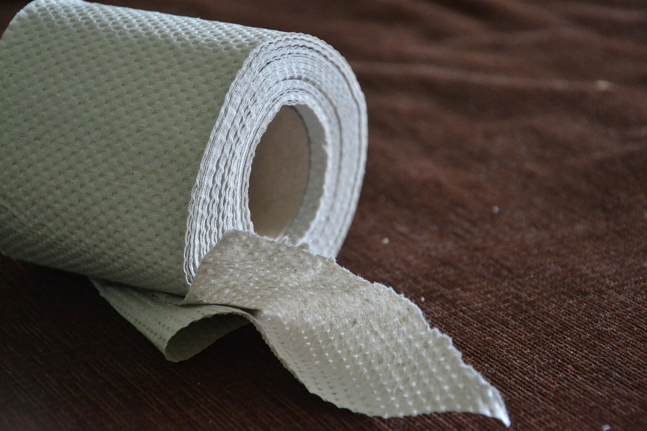 How One Document Solved The Great Toilet Paper Debate