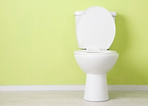 Practical-Toilet-Considerations