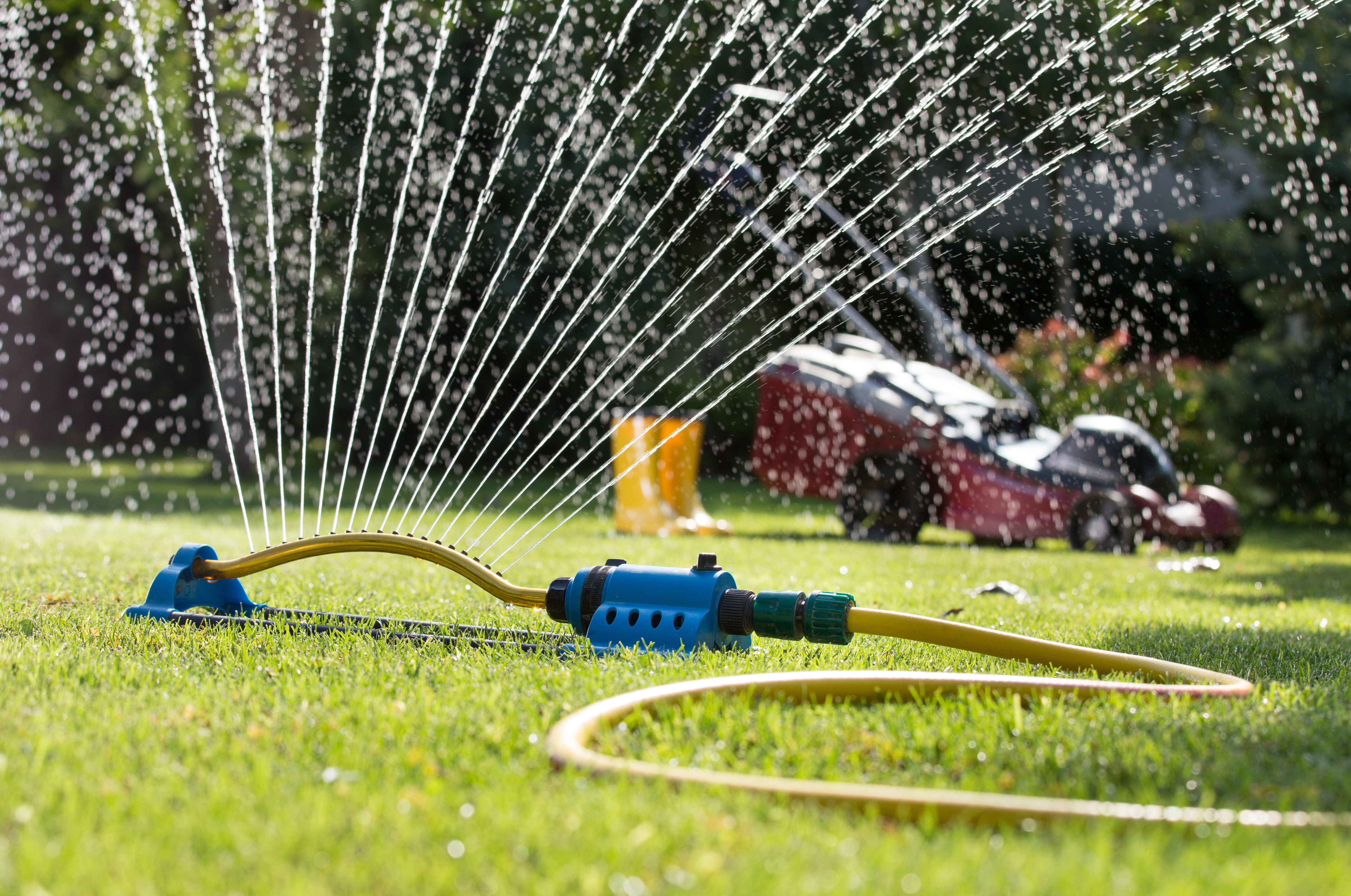 How and when to Water Your Lawn | Terry's Plumbing