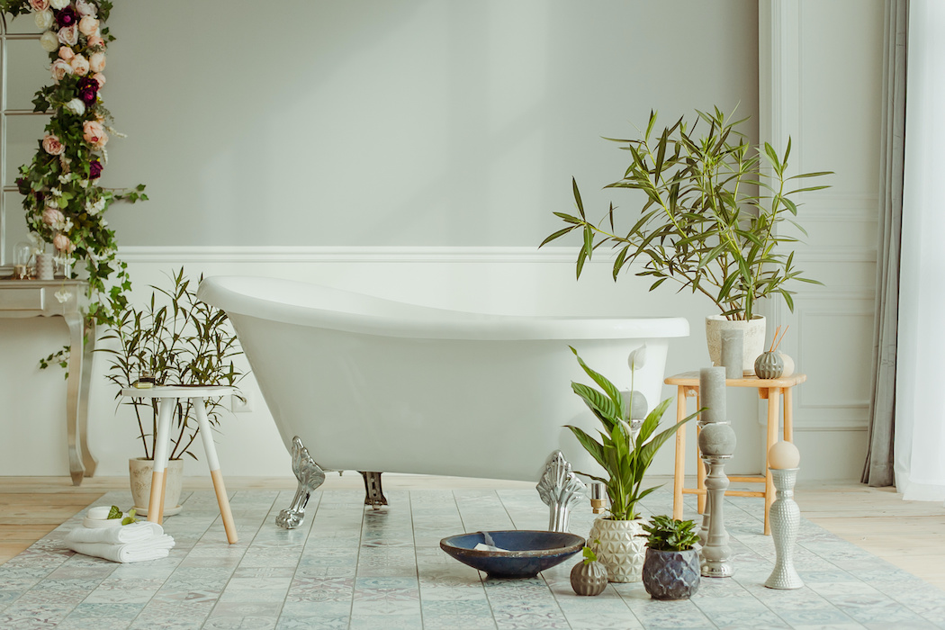 Some of the best plants for bathrooms on display around a clawfoot tub | Terry's Plumbing Pittsburgh