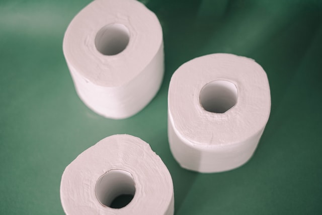 Toilet Paper Alternative Pittsburgh | Terry's Plumbing