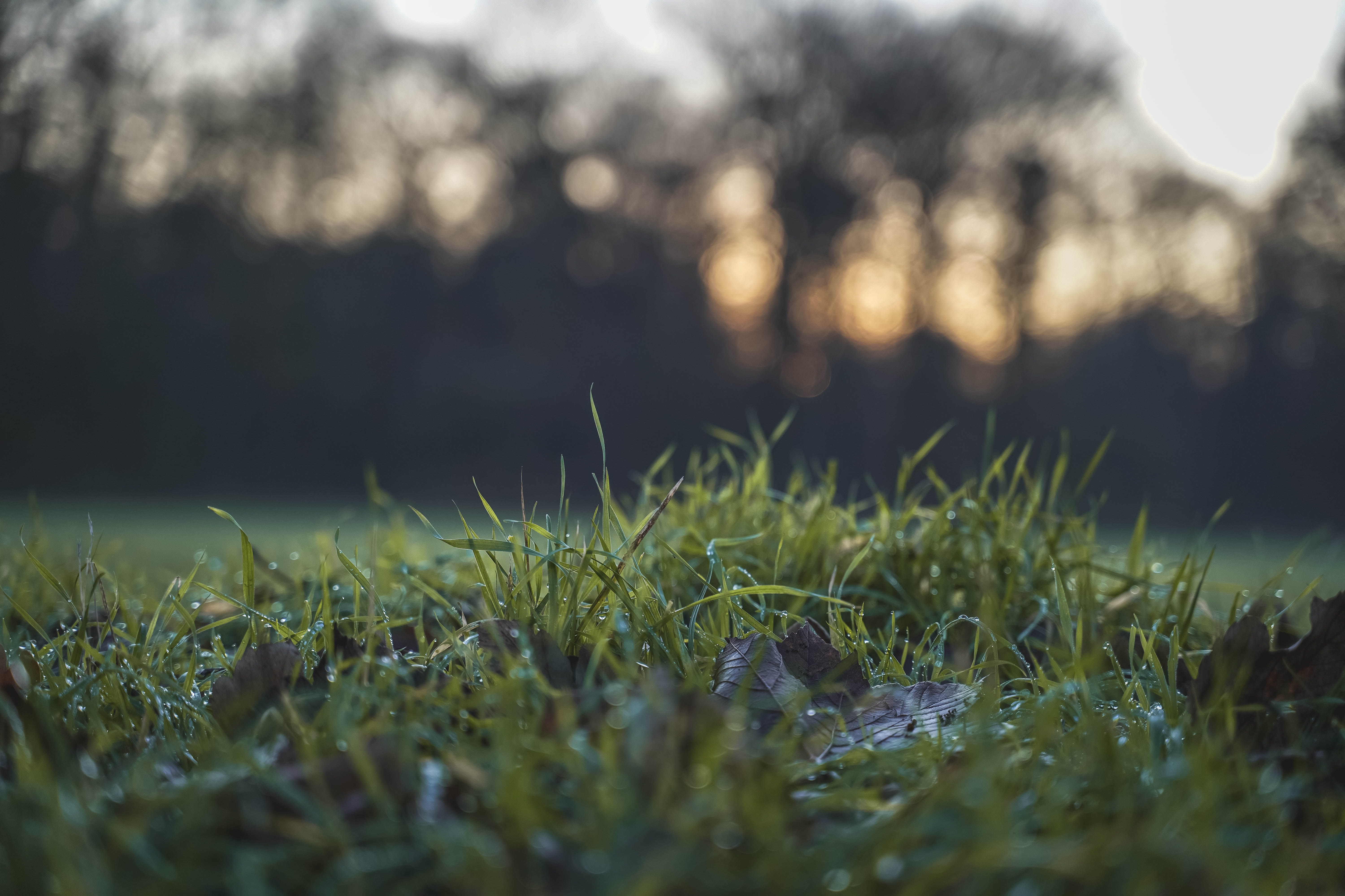 What is a French Drain and How Does it Work Pittsburgh | Terry's Plumbing