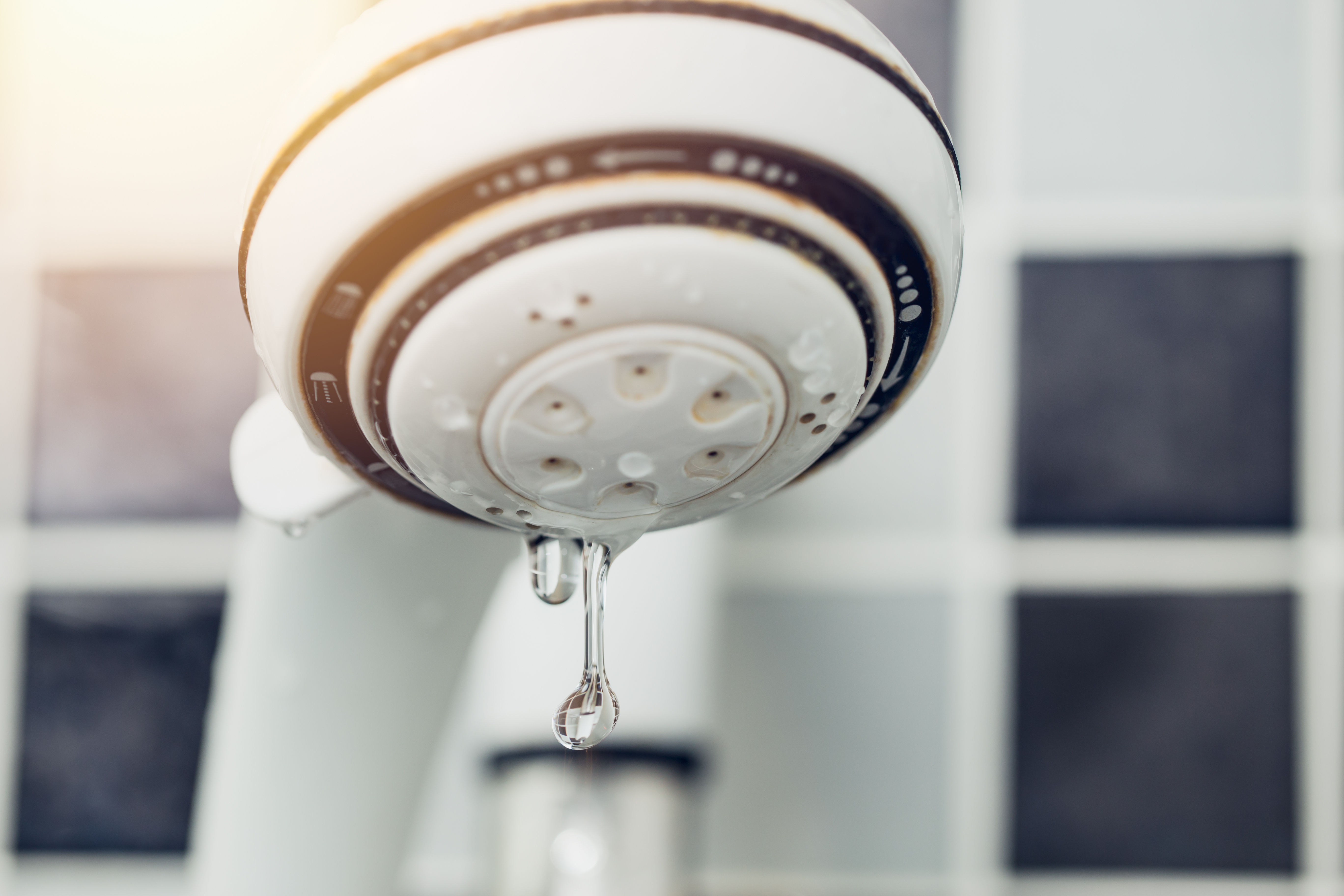 What to do About a Leaking Shower Head | Pittsburgh | Terry's Plumbing