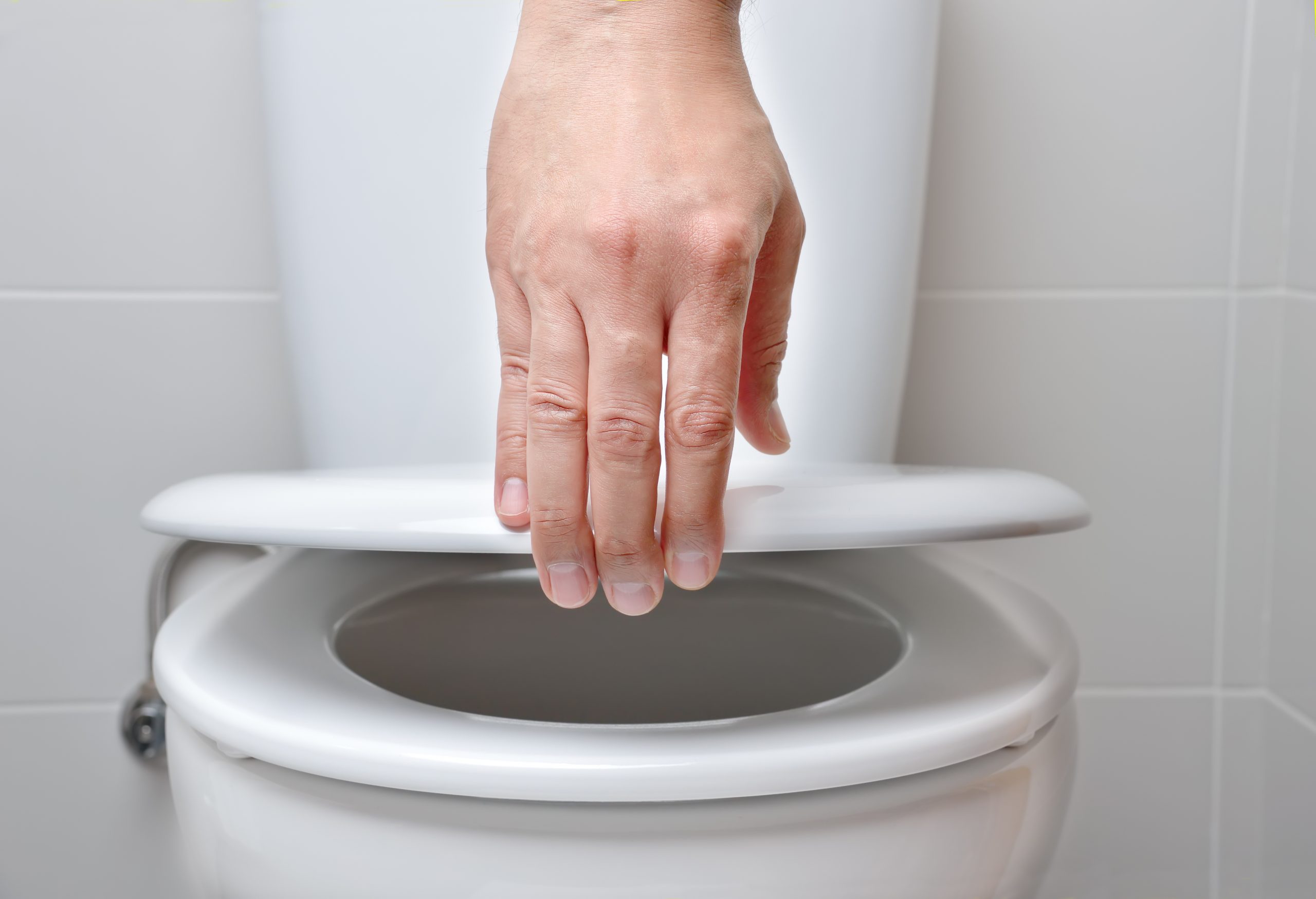 Which Toilet Seat is Best for You? | Pittsburgh | Terrys Plumbing