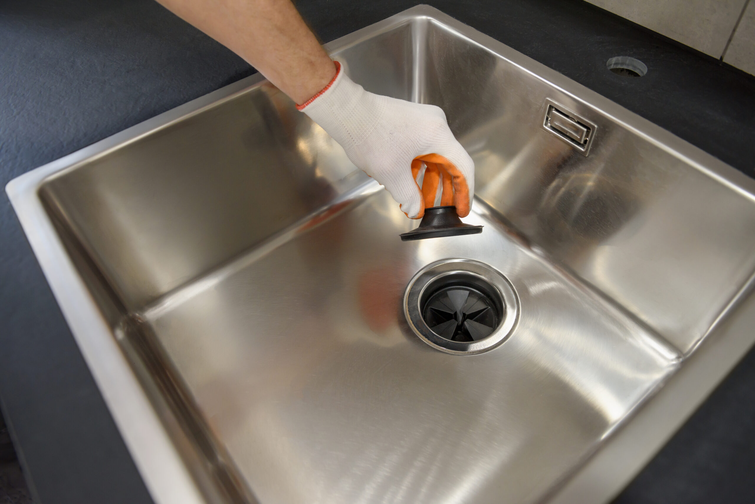 Debunking Garbage Disposal Cleaning Trends | Terrys plumbing