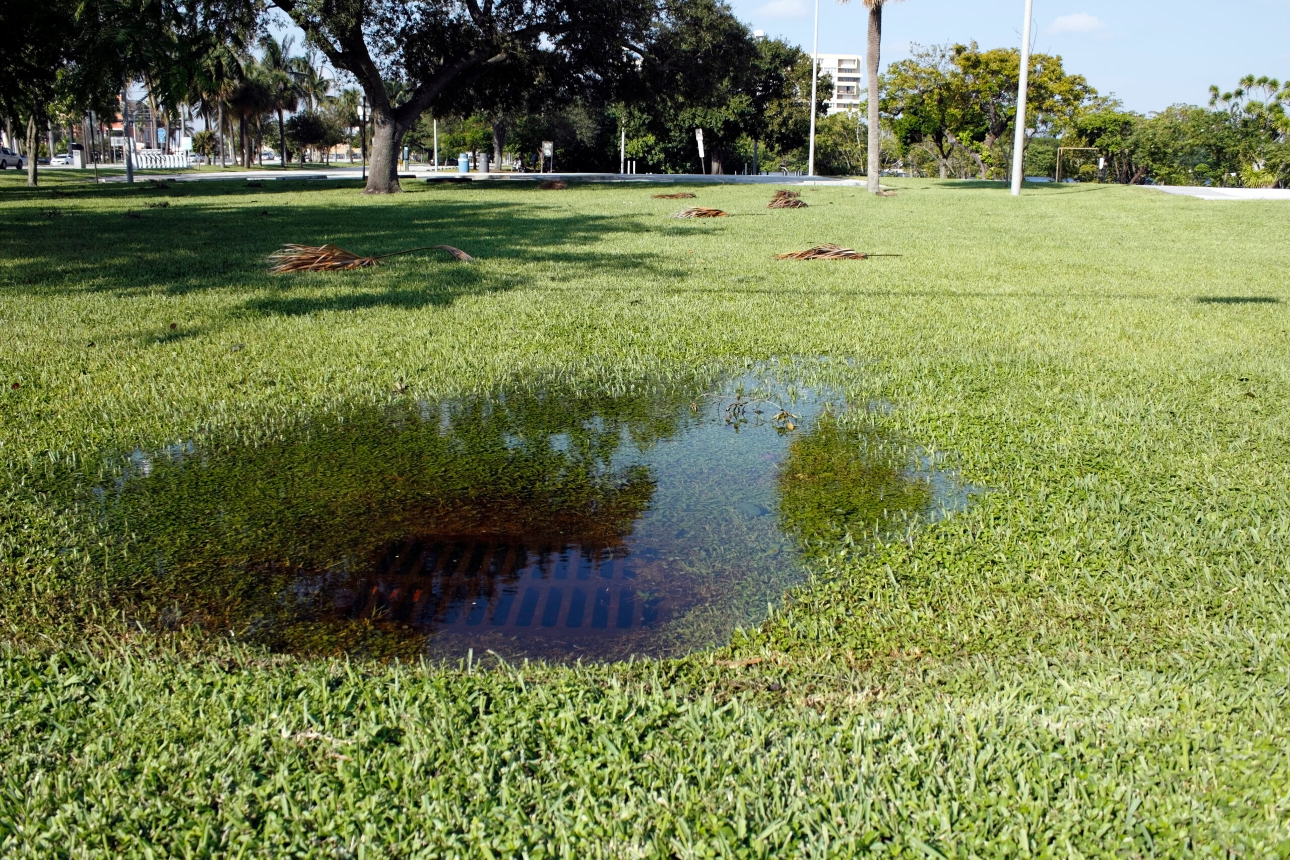 Signs Of Sewer Backup